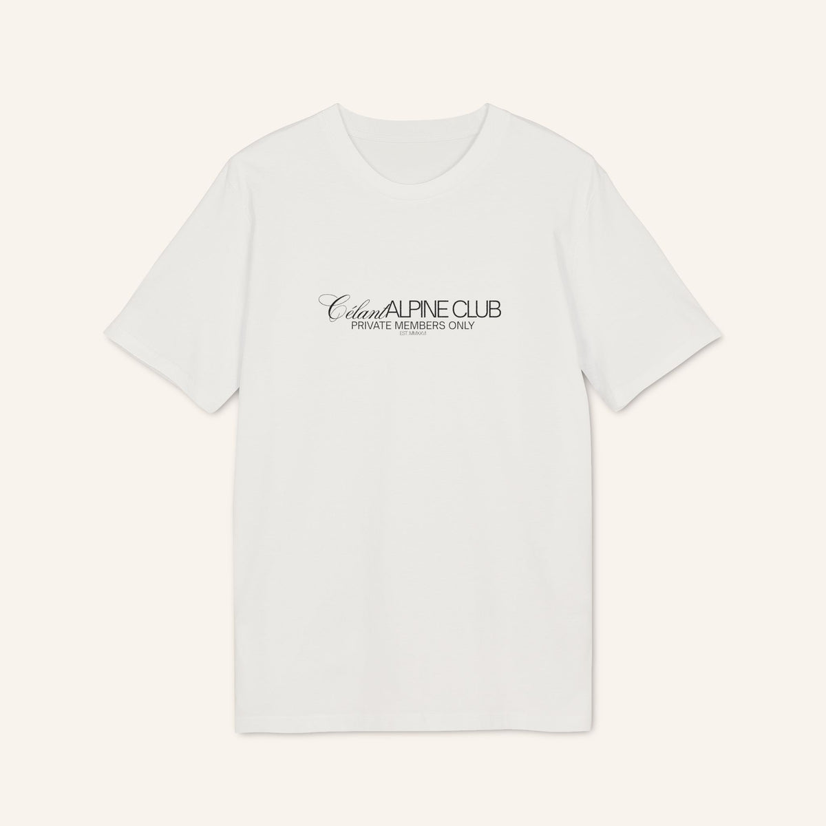 Alpine Club Ski T-Shirt — Vintage Mountain Back Print