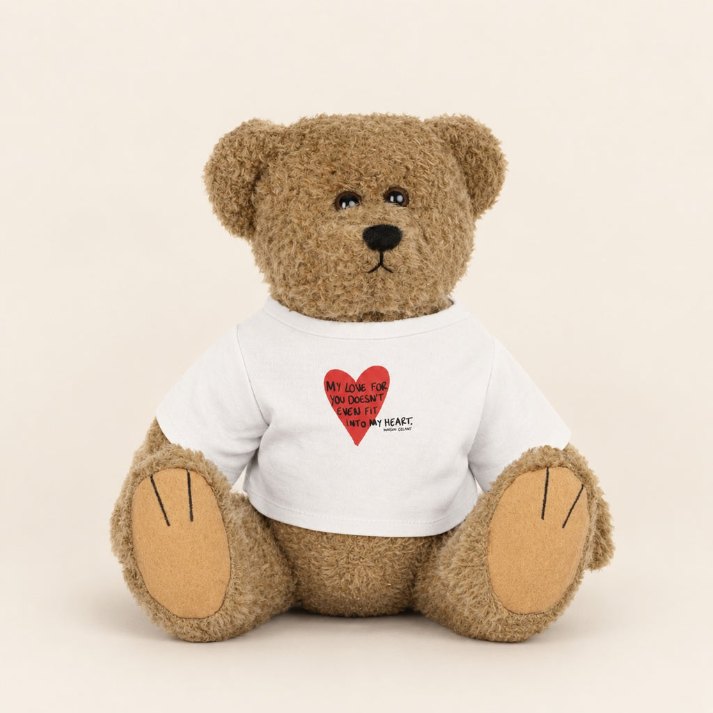 Émile - The Teddy Bear