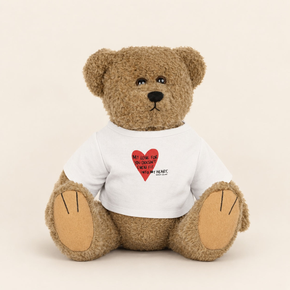 Émile - The Teddy Bear