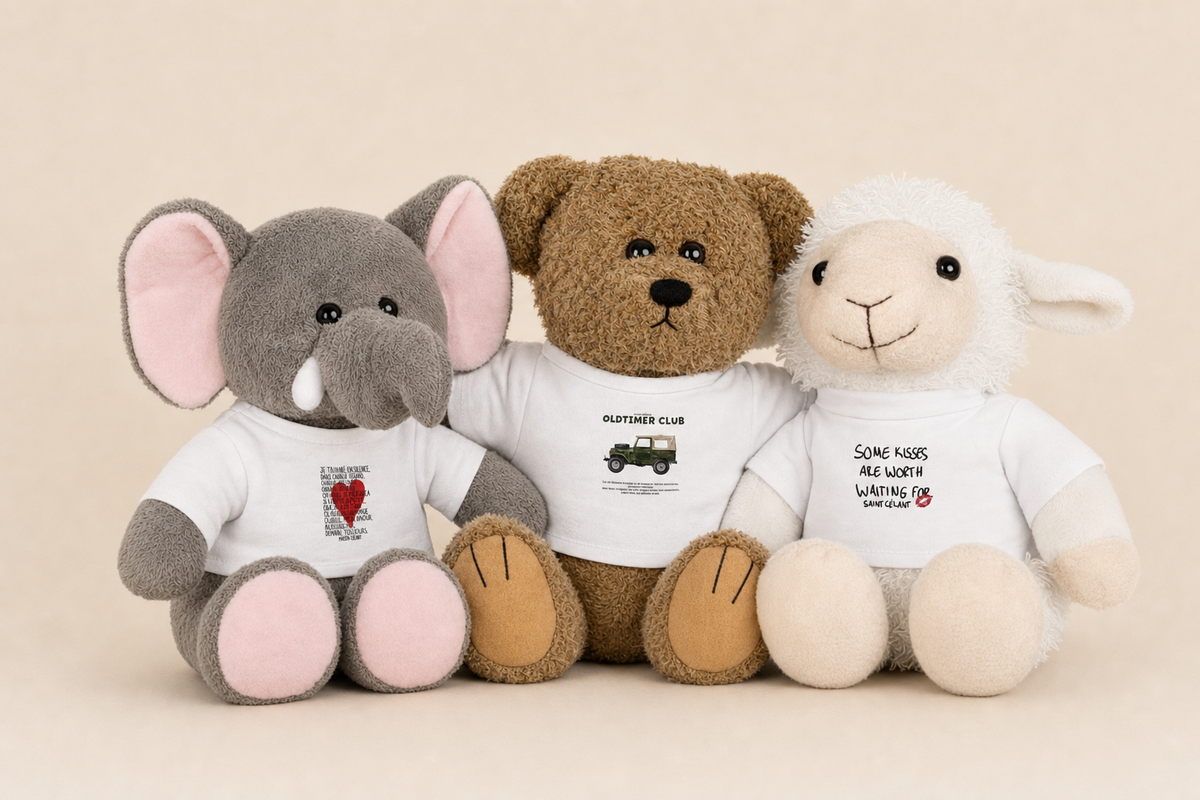 Émile - The Teddy Bear